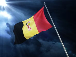 开云体育官方-双方争锋相对，亚冠较量殊途同归，亚冠冲突